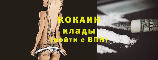 гидра Осташков