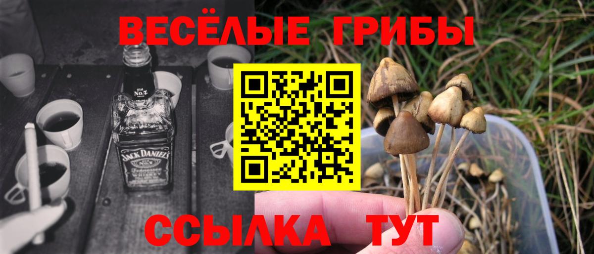 Галлюциногенные грибы мицелий  Вход с VPN  Симферополь  наркотики  Псилоцибиновые грибы мухоморы 