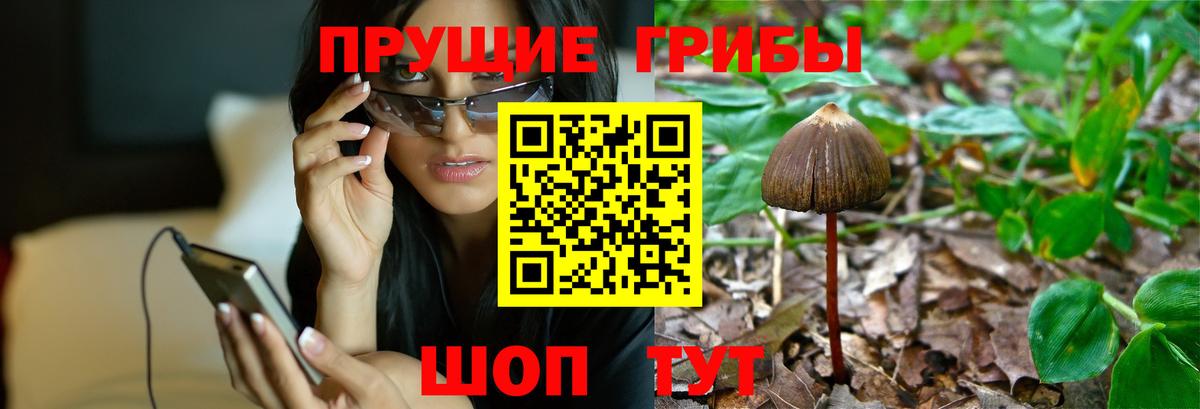 Симферополь  Псилоцибиновые грибы GOLDEN TEACHER  Вход с VPN 